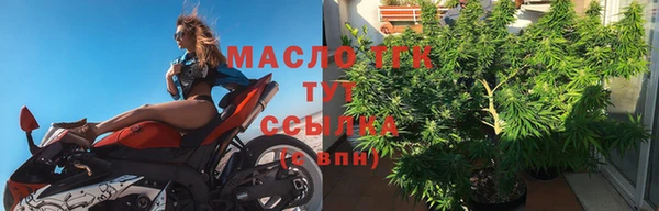 индика Верхний Тагил