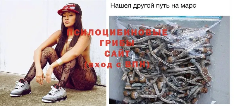 Галлюциногенные грибы Psilocybe  Лабытнанги 